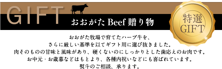 おおがた Beef 贈り物